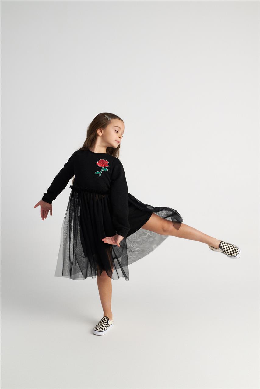 SET SPARKLY ROSE TUTU TOP TWO IN A CASTLE